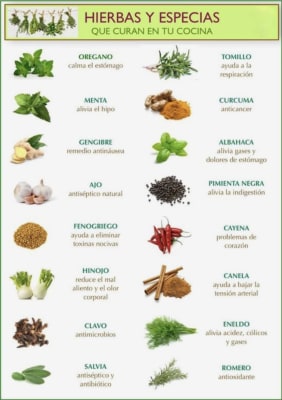 Semillas de Hortalizas