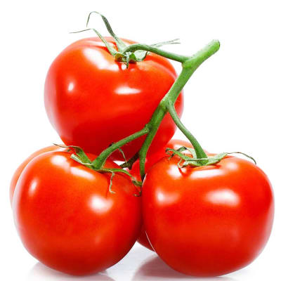 Tomate