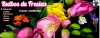 Tienda Online, Aqui, Comprar