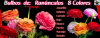 Tienda Online