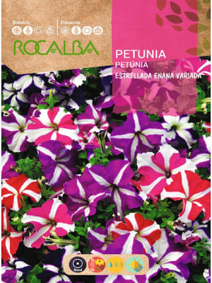 PETUNIA Estrellada Enana Variada