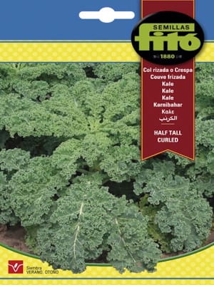 Kale Verde Crespo HALF TALL 1 GRAMO