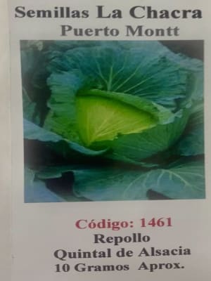 Repollo Quintal 10 Gramos