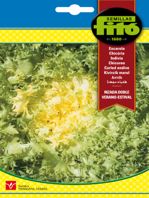 ACHICORIA RIZADA DOBLE DE VERANO ESTIVAL