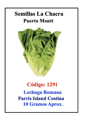 Lechuga Romana Parris Island. Sobre 10 Gramos