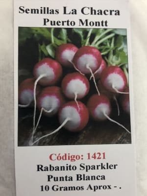 Rabanito Sparkler Punta Blanca 10 Gramos