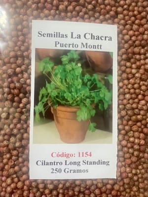 Cilantro California Long- Standing 250 Gramos