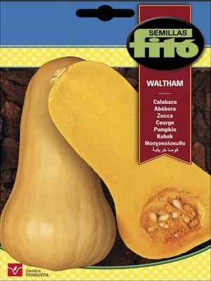 CALABAZA BUTTERNUT Sobre 5 Gramos.