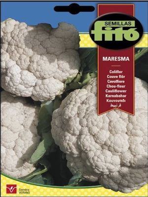 COLIFLOR MARESMA