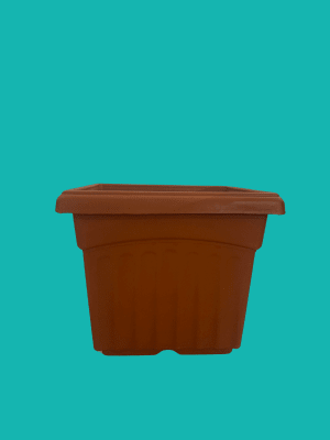 Maceteros Terracota Cuadrado 16,5x14 CM