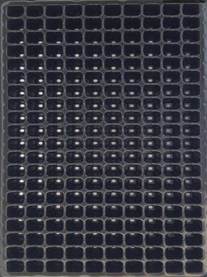 Almaciguera Bandeja 200 CV