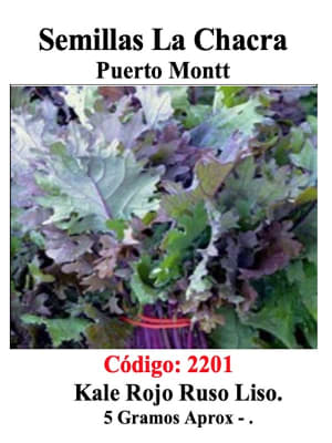 Kale Rojo Ruso Liso 5 Gramos