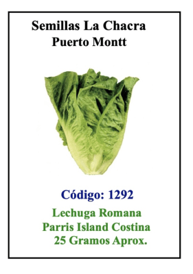Lechuga Romana Parris Island. Sobre 25 Gramos