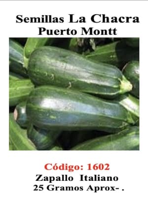 Zapallito Italiano Zuchinni. 25 Gramos