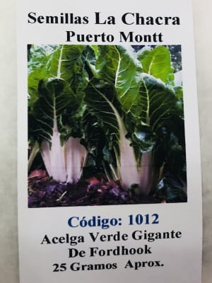Acelga Gigante de Fordhook. 25 Gramos