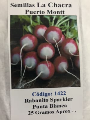 Rabanito Sparkler Punta Blanca 25 Gramos