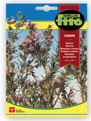 ROMERO COMUN FITO