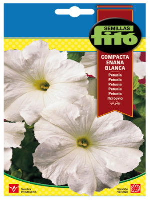 PETUNIA COMPACTA ENANA BLANCA