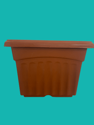 Maceteros Terracota Cuadrado:  23,5x17,3 CM