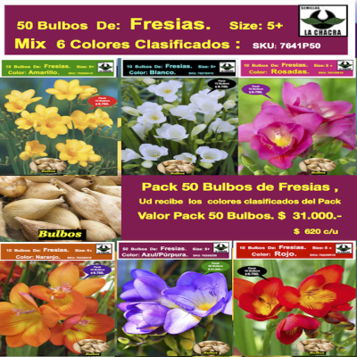 Bulbos Fresias Mix 6 Colores. Pack 50 Unidades. Size: 5+
