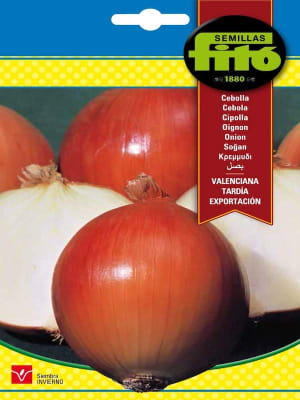 CEBOLLA VALENCIANA TARDIA EXPORTACION