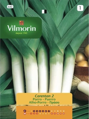 PUERRO CARETAN VILMORIN
