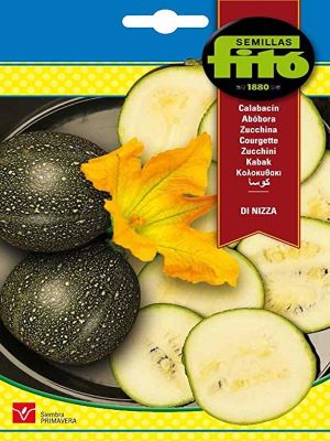 CALABACIN REDONDO DE NIZA (BOLA 8)