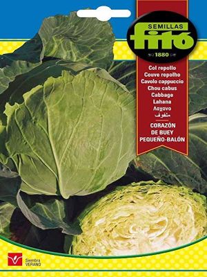 COL REPOLLO CORAZON DE BUEY GRANDE BALON