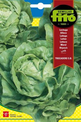 LECHUGA TROCADERO RIBERA
