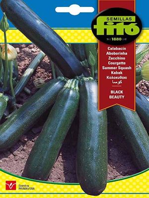 CALABACIN DE MESA NEGRO BELLEZA