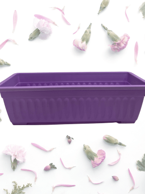 Jardinera Estriada Rectangular Violeta  43,5 x19 CM
