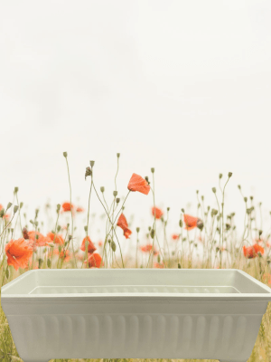 Jardineras.Estriada Rectangular.  Blanco. 49,5x21 CM