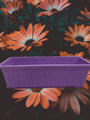 Jardinera Estriada Rectangular.  Violeta. 49,5x21 CM