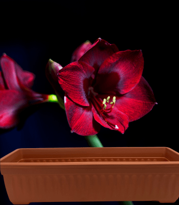 Jardineras.Estriada Rectangular.  Ladrillo. 59x21 CM