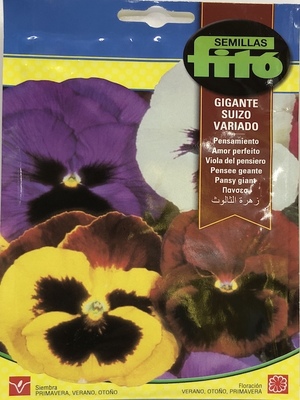 PENSAMIENTO GiIGANTE. SUIZO VARIADO