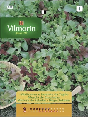 MEZCLAS DE LECHUGAS VERDES