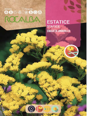 ESTATICE Sinuata. Color: Amarillo
