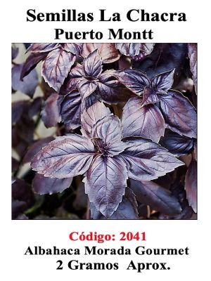 ALBAHACA MORADA