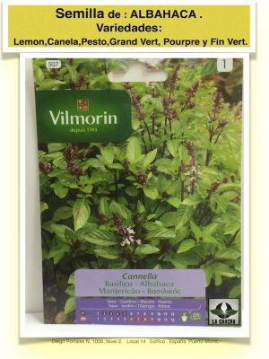 ALBAHACA CANELA