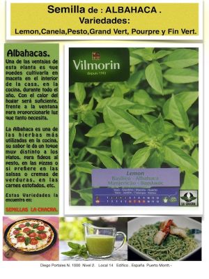 ALBAHACA LEMON
