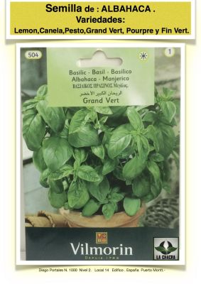 ALBAHACA VILMORIN GRANDE VERDE
