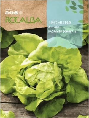 LECHUGA Alface. 6 Gramos.
