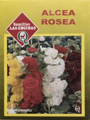 MALVA  Real. Alcea Rosea.