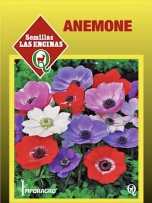 Anémona  Semillas Colores Variados