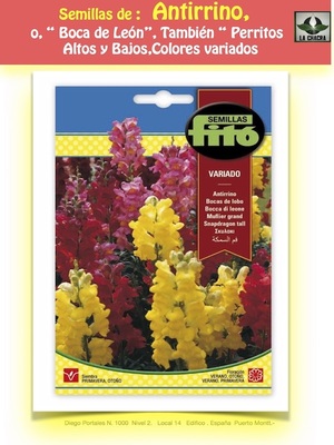 ANTIRRINO - BOCA DE LEÓN.