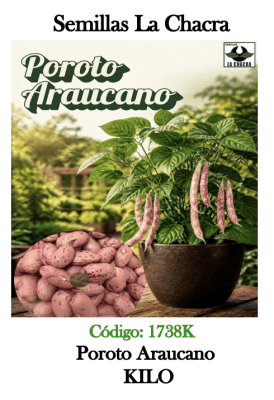 Poroto Verde Araucano. Kilo