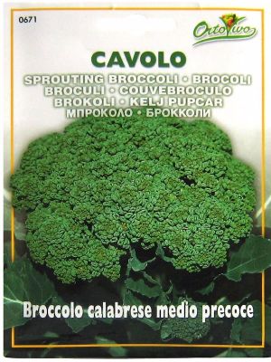 BRÓCOLI CALABRESE PRECOZ