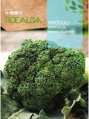 Brocoli Ramoso Calabrese, Semillas