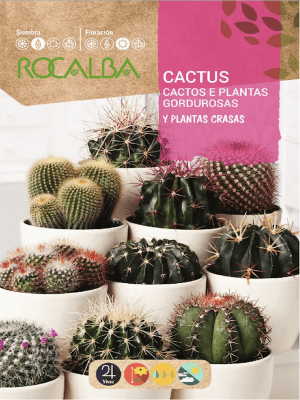 CACTUS Plantas y Crasas Variadas
