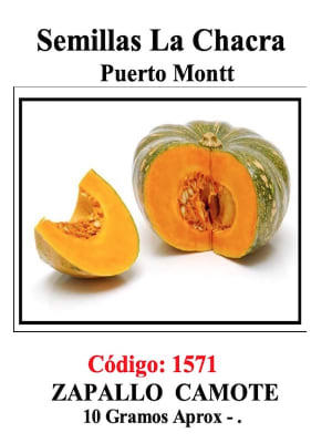 Zapallo Camote de Guarda 10 Gramos